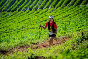 BIB: 
                            <button type="button" onclick="openModal(19161874)" class="btn btn-primary btn-sm float-right btn-popup" data-toggle="modal" data-target=".modal-high-quality">
                        <i class="fas fa-shopping-cart"></i> Add to Cart
                    </button>
                                            <button type="button" onclick="isThisMe(19161874, true)" class="btn btn-success btn-sm float-right btn-popup btn-isme hidden" data-toggle="tooltip" data-placement="bottom" title="นี่คือรูปของคุณใช่ไหม คลิกที่นี่เพื่อเอาเข้าอัลบั้ม">
                        <i class="fas fa-plus"></i> Add to album
                    </button>
                    <button type="button" onclick="isThisMe(19161874, false)" class="btn btn-warning btn-sm float-right btn-popup btn-isnotme hidden">
                        <i class="fas fa-ban"></i> Remove from album
                    </button>